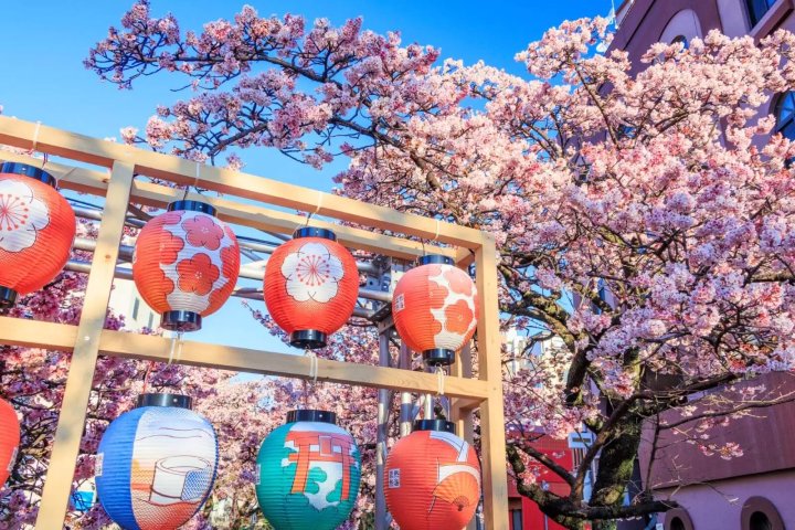 🏯 나라를 지키는 절 (칭코쿠지) 이미지 6